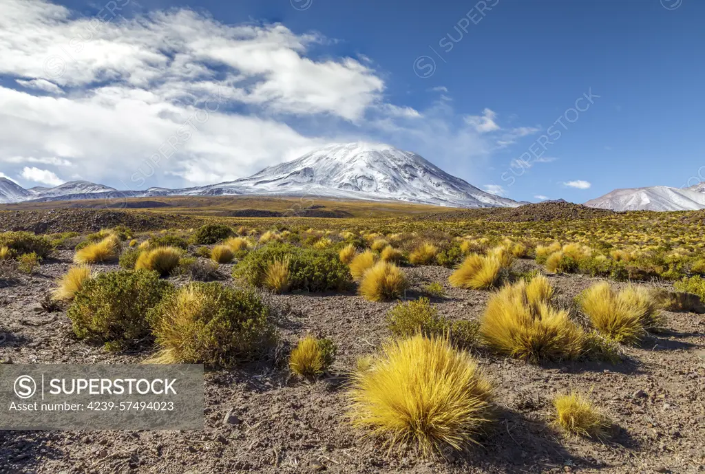 Lascar volcano in Chile.