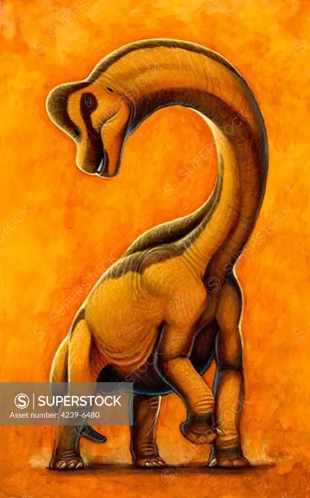 Sauroposeidon, a genus of sauropod dinosaur from the Early Cretaceous period.