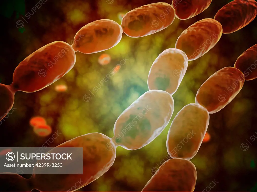 Microscopic view of bacterial pneumonia. Bacterial pneumonia is a type of pneumonia caused by bacterial infection. Pneumonia can be generally defined as inflammation of the lung parenchyma.