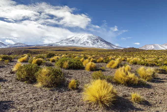 Lascar volcano in Chile.