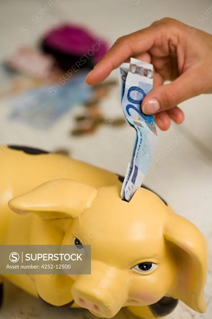 Piggy bank savings