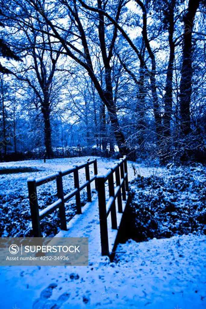 Landscape snow nature