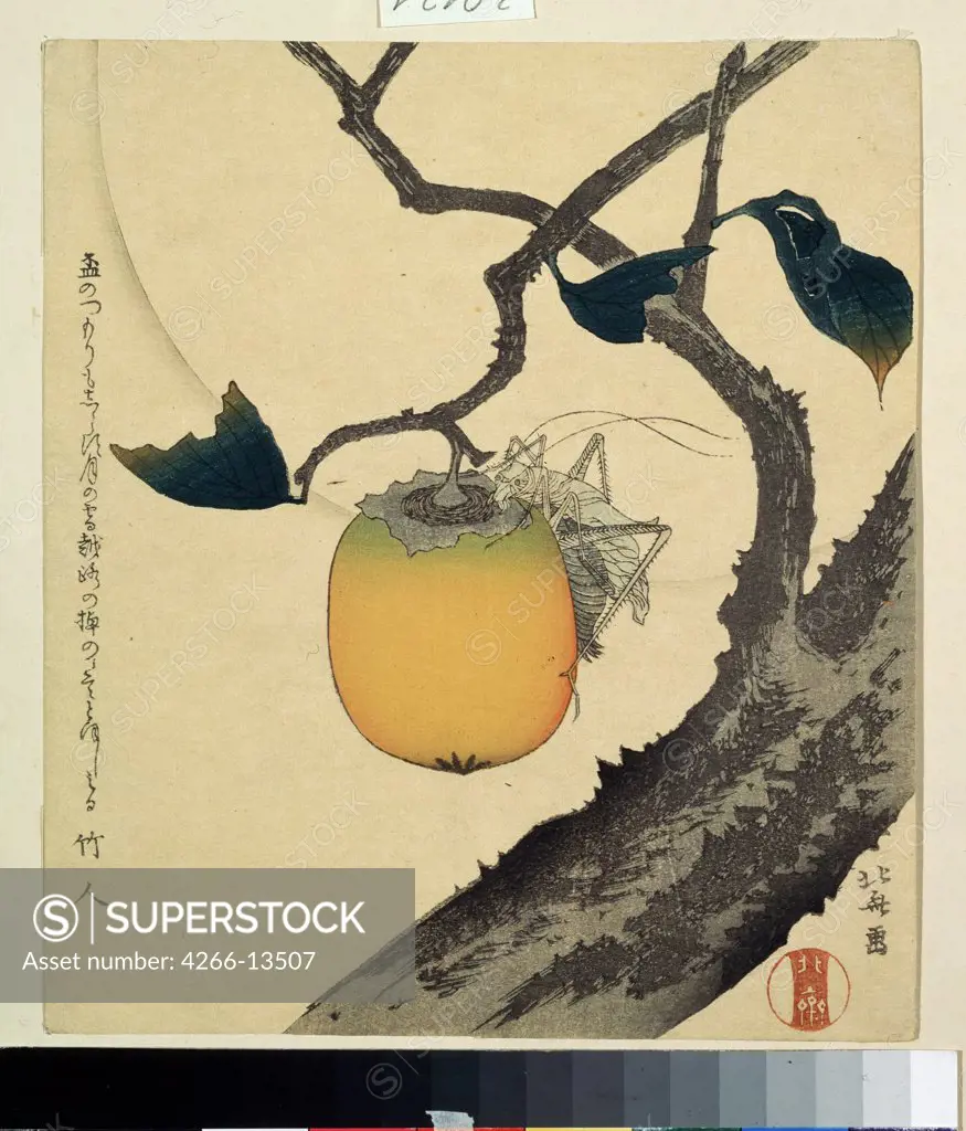 Fruit on branch by Katsushika Hokusai, colour woodcut, 1807, 1760-1849, Russia, Moscow, State Pushkin Museum of Fine Arts, 20x14, 5