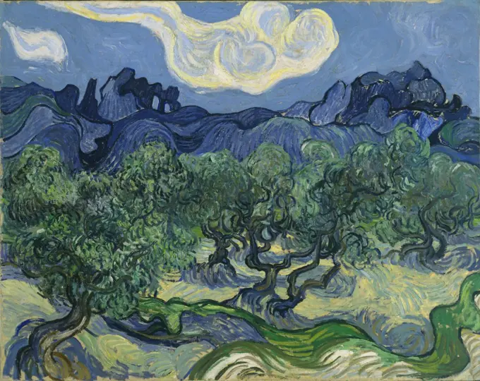 Gogh, Vincent, van (1853-1890) © Museum of Modern Art, New York Painting 72,6x91,4 Landscape  The Olive Trees