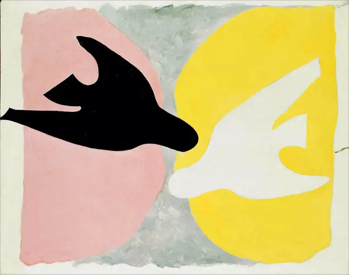 The white bird and the black bird, The birds (L'oiseau blanc et l'oiseau noir, Les oiseaux), Braque, Georges (1882-1963)