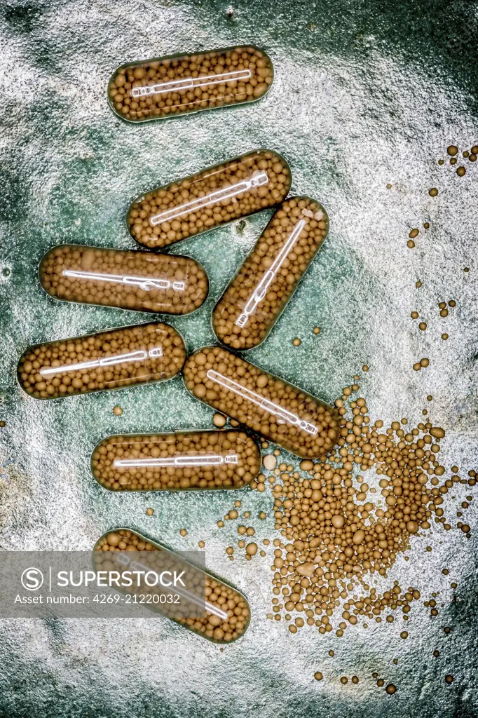 Brewer's yeast capsules.