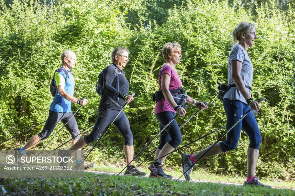 Group of senior practicing nordic walking.