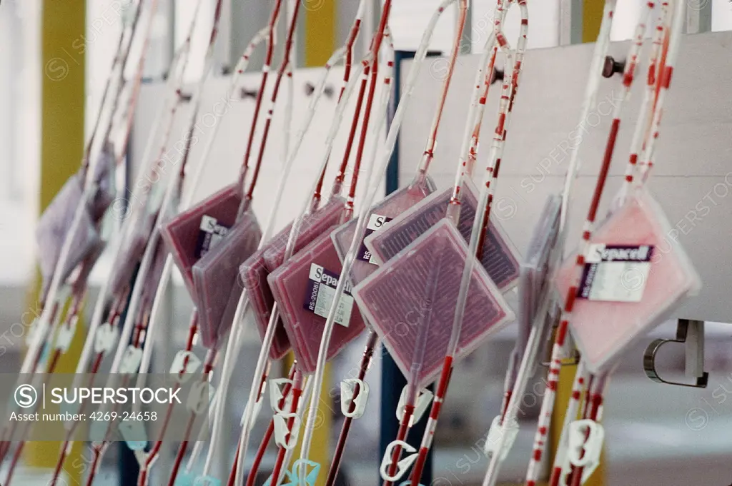 Blood transfusion. Blood filtration in a Blood transfusion center : the blood components are separated by gravity filtration to obtain different blood products.