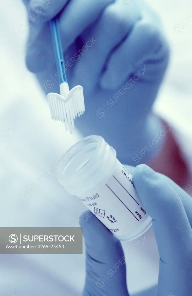 Cervical smear. Gynecological sampling Cervical cancer and STD screening Liquid suspension cervical smear