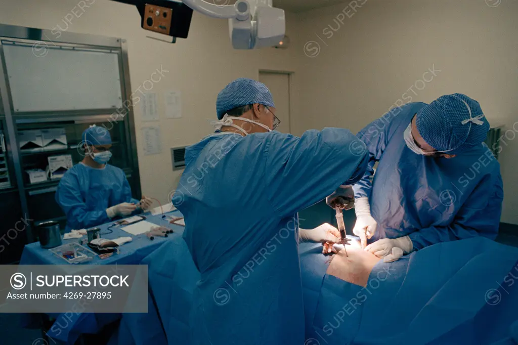 Bone marrow harvest. Surgeon performing bone marrow retrieval on patient placed in general anaesthesia. The bone marrow is collected from a pelvic bone with a trocar and a syringe. Saint-Louis hospital, Paris, France.