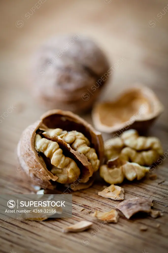 Walnut.