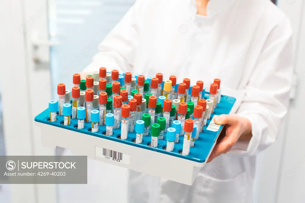 Blood samples in a medical laboratory.