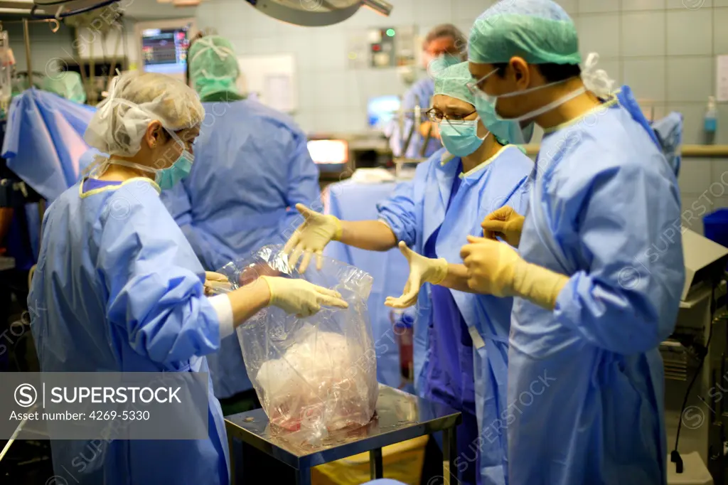 Department of thoracic surgery, Foch hospital, Suresnes, France. Surgeons preparing lung tranplants during double-lung transplant surgery.