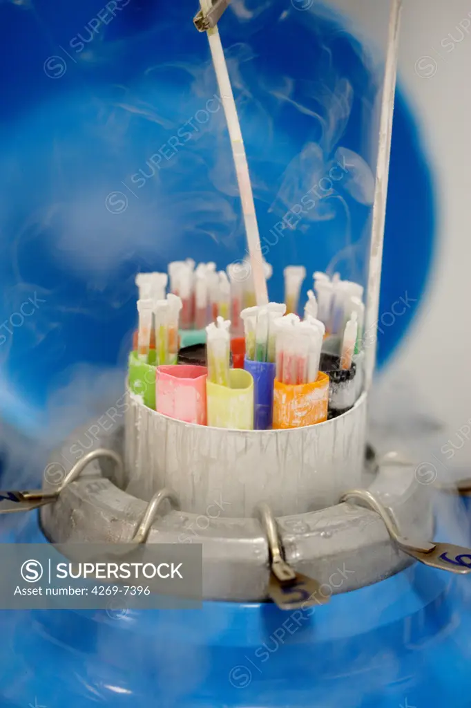 Cryopreservation of frozen sperm straws and embryos in liquid nitrogen. Medically Assisted Procreation Laboratory, Limoges hospital, France.