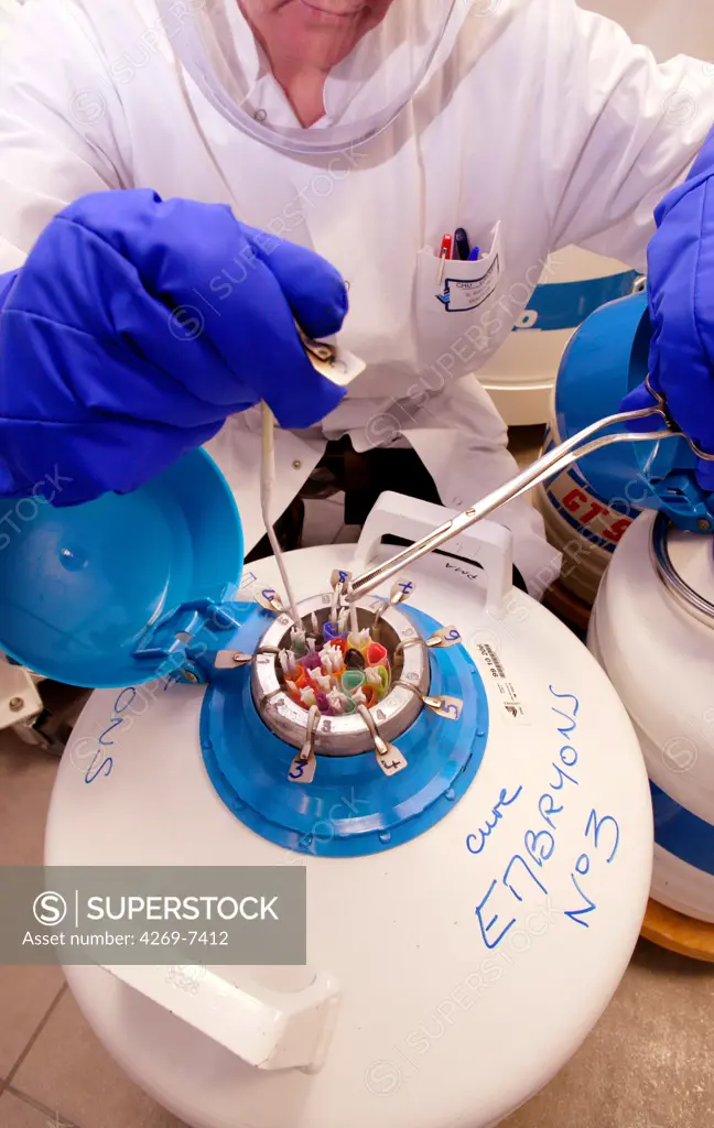 Cryopreservation of frozen sperm straws and embryos in liquid nitrogen. Medically Assisted Procreation Laboratory, Limoges hospital, France.