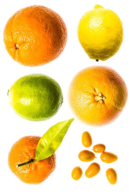Assortment of citrus.