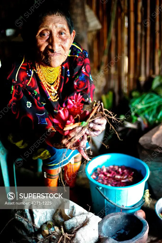 Panama, Kuna Yala, Ninety years old Indigenous Guna midwife making traditional medicines