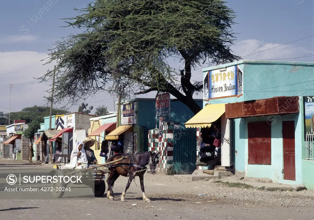 A colourful street scene at Ziway, Central Ethiopia.,Horse-drawn buggies are widely used as taxis in the Ethiopian Highlands and in the Rift Valley south of Addis Abeda. Abyssinian horses and ponies are renowned for their stamina.