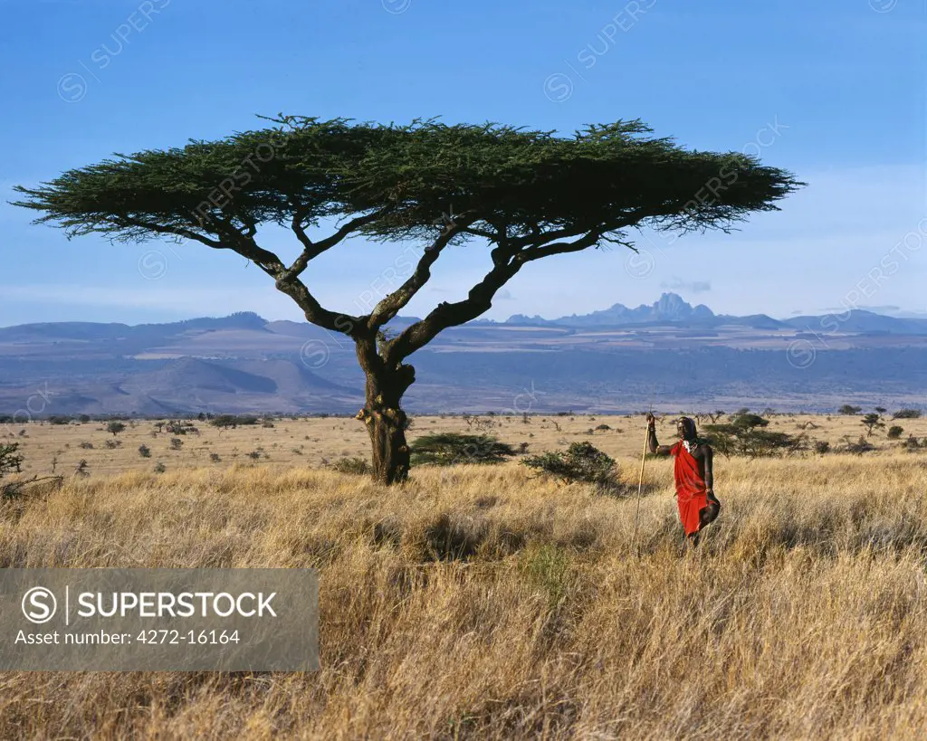 Kenya, Mount Kenya, Lewa Downs. Maasai warrior at Lewa Downs with Mount Kenya in background.