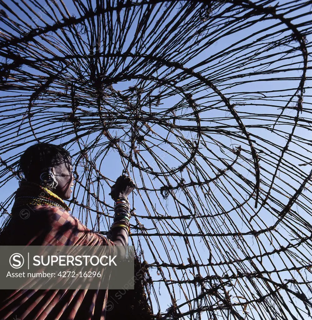 A Turkana woman makes the final ties to the dome-shaped framework of her home.  In wet weather, hides will be laid on top and secured with leather thongs.