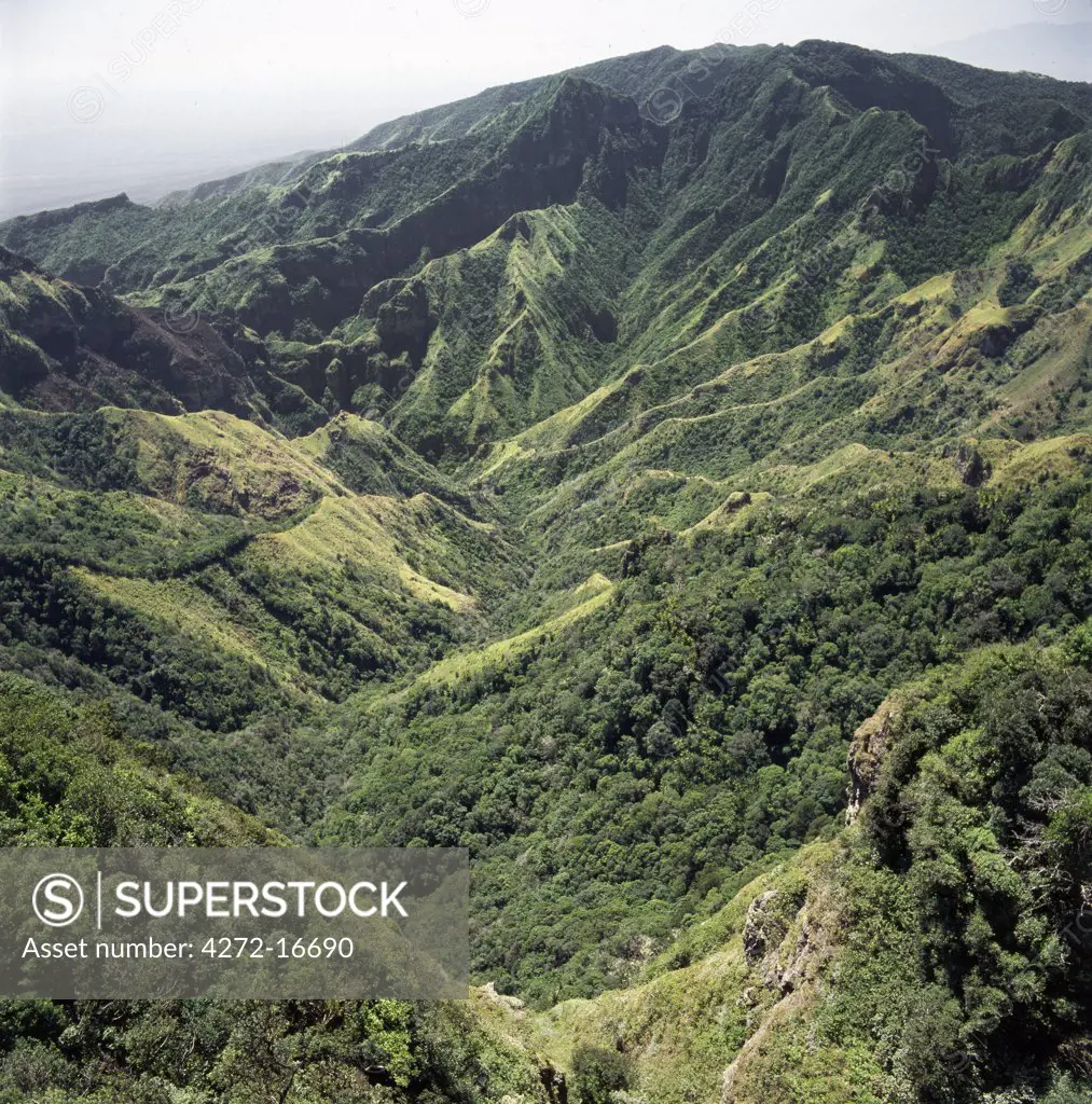 Mount Kulal is divided into two by an ancient volcano, which collapsed thousands of years ago, leaving an impressive gorge. Mount Kulal rises to over 6,000 feet in Northern Kenya and is surrounded by a sea of lava and arid wastes.