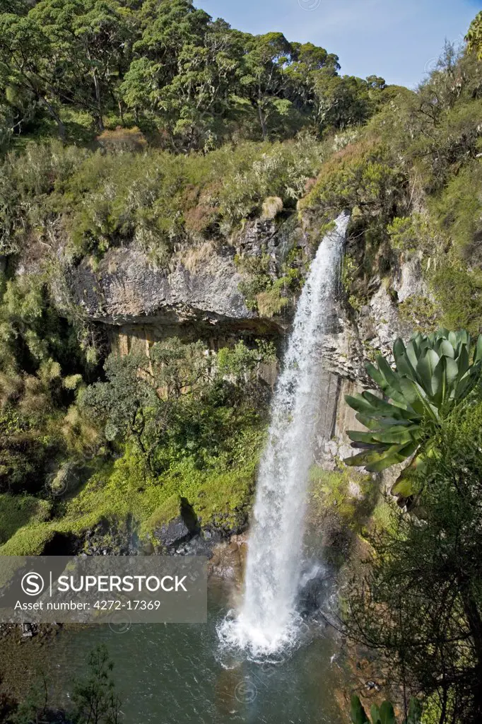 Kenya, Kenya Highlands. The Chania Falls on the moorlands of the Aberdare Mountains.