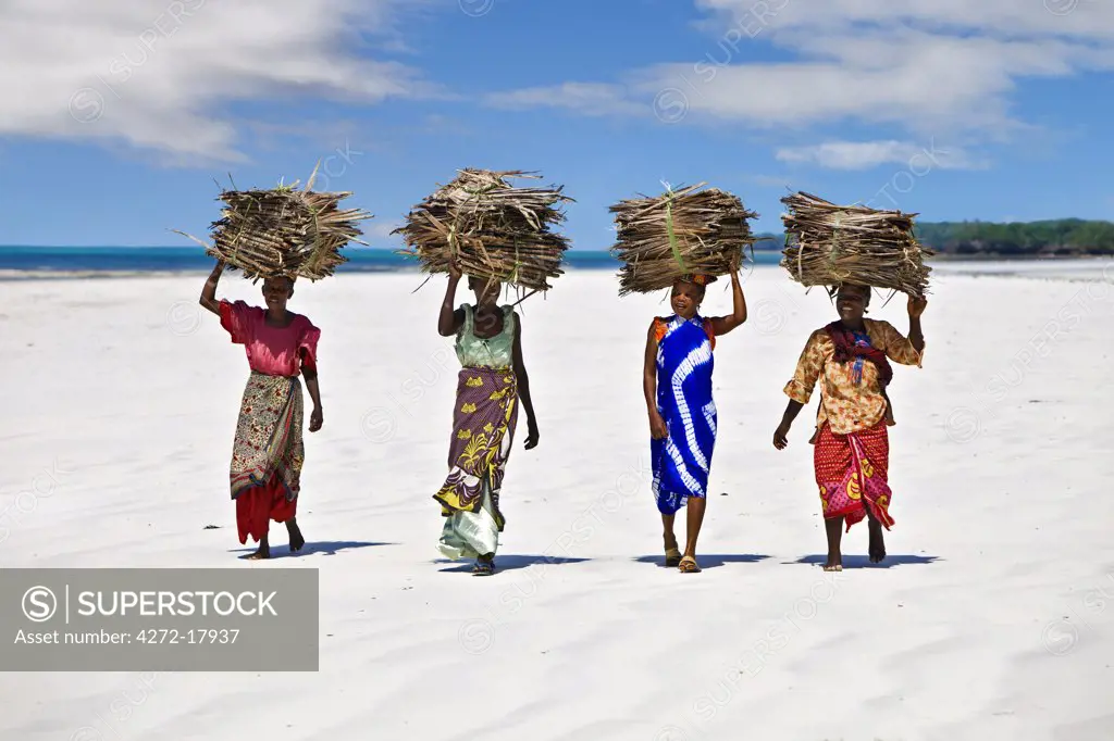 Kenya, Mombasa. Women carry on their heads makuti (dried coconut palm fronds used as roofing material) on a beach on Kenya south coast.