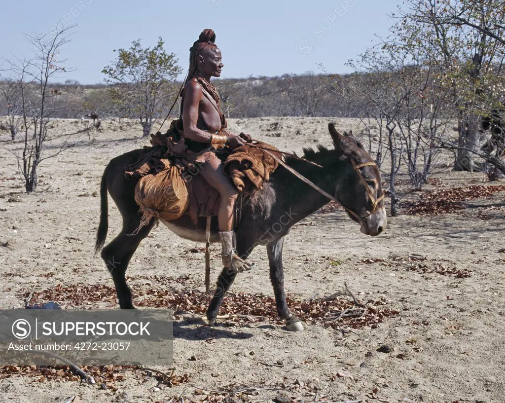 An old Himba woman, upright despite her years, rides her donkey through harsh land where mid day temperatures rise to 400C.   The Himba are Herero speaking Bantu nomads who live in the harsh, dry but starkly beautiful landscape of remote northwest Namibia.