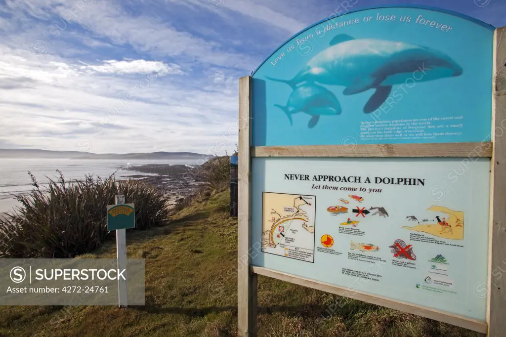 New Zealand, South Island, Curio Bay, the southern remote coast of New Zealand provides excellent whale watching opportunities