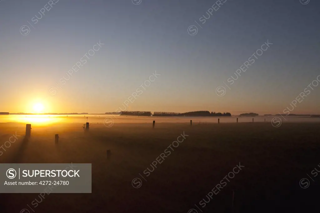 New Zealand, South Island.  Sunset over a misty field during winter on the Canturbury Plains south of Christchurch