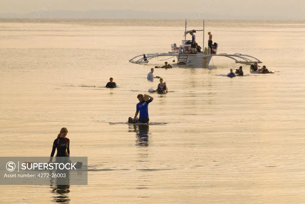 Philippines, Southern Leyte. Volunteer divers on a Coral Cay Conservation expedition. (MR).