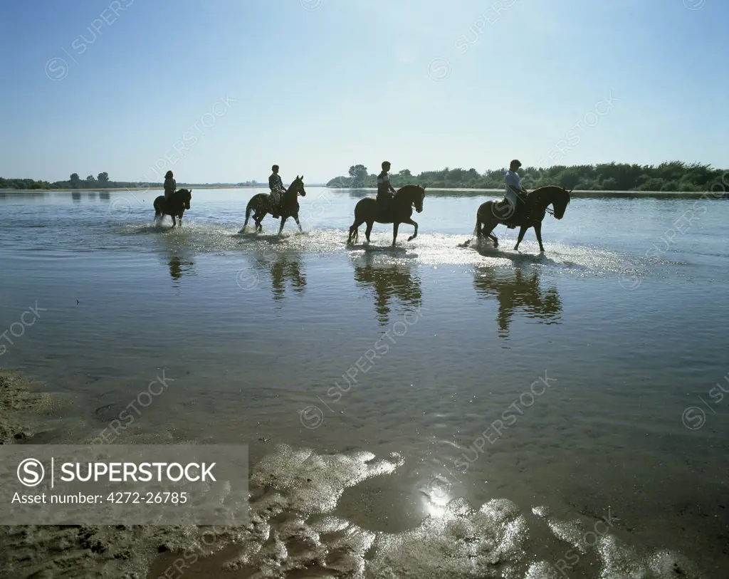 A group of horsemen on the Tagus river, Santarem, Portugal