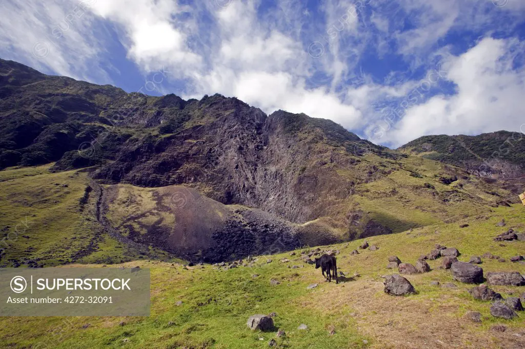 Tristan Da Cunha Island, the foothills of Queen Marys Peak, 2,062m volcano on the most remote inhabited archipelago in the world.