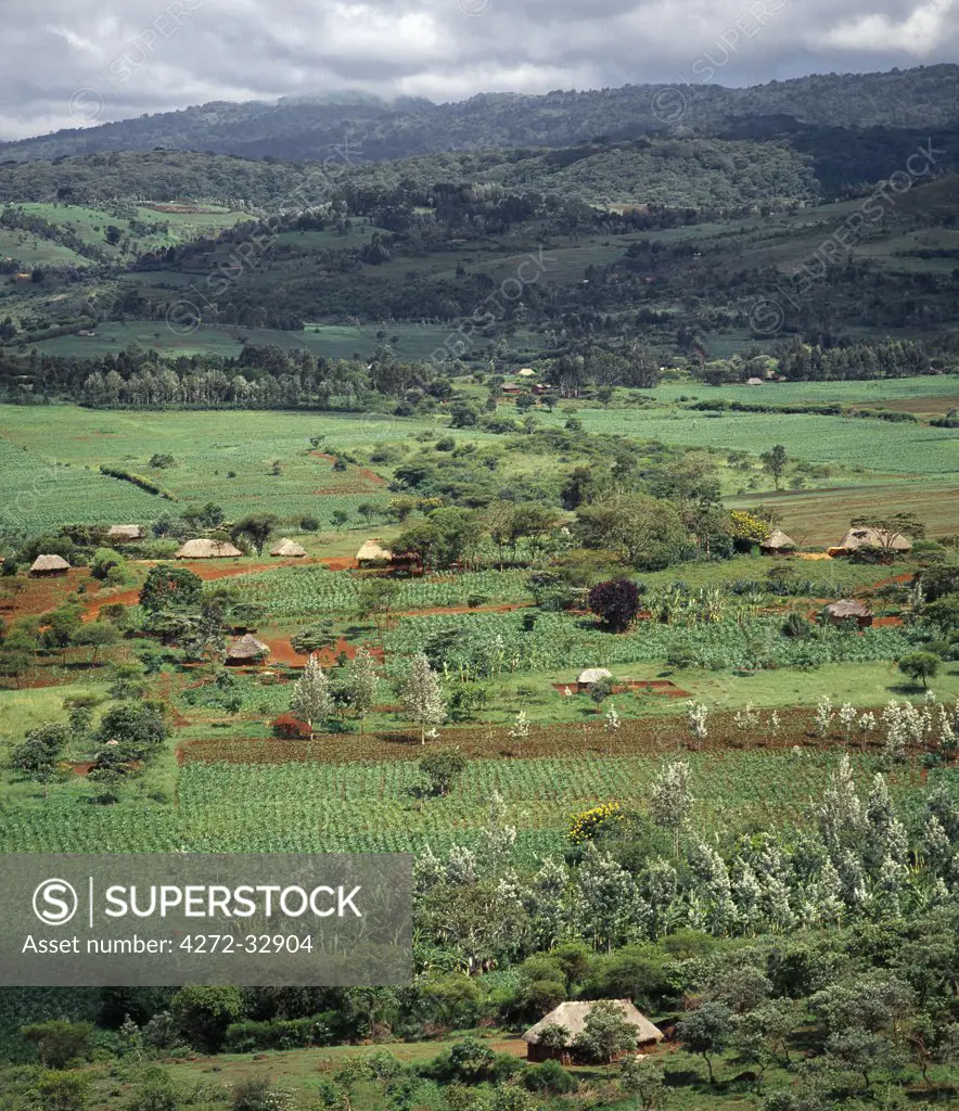 Rich farming country near the Ngorongoro Highlands of Northern Tanzania.