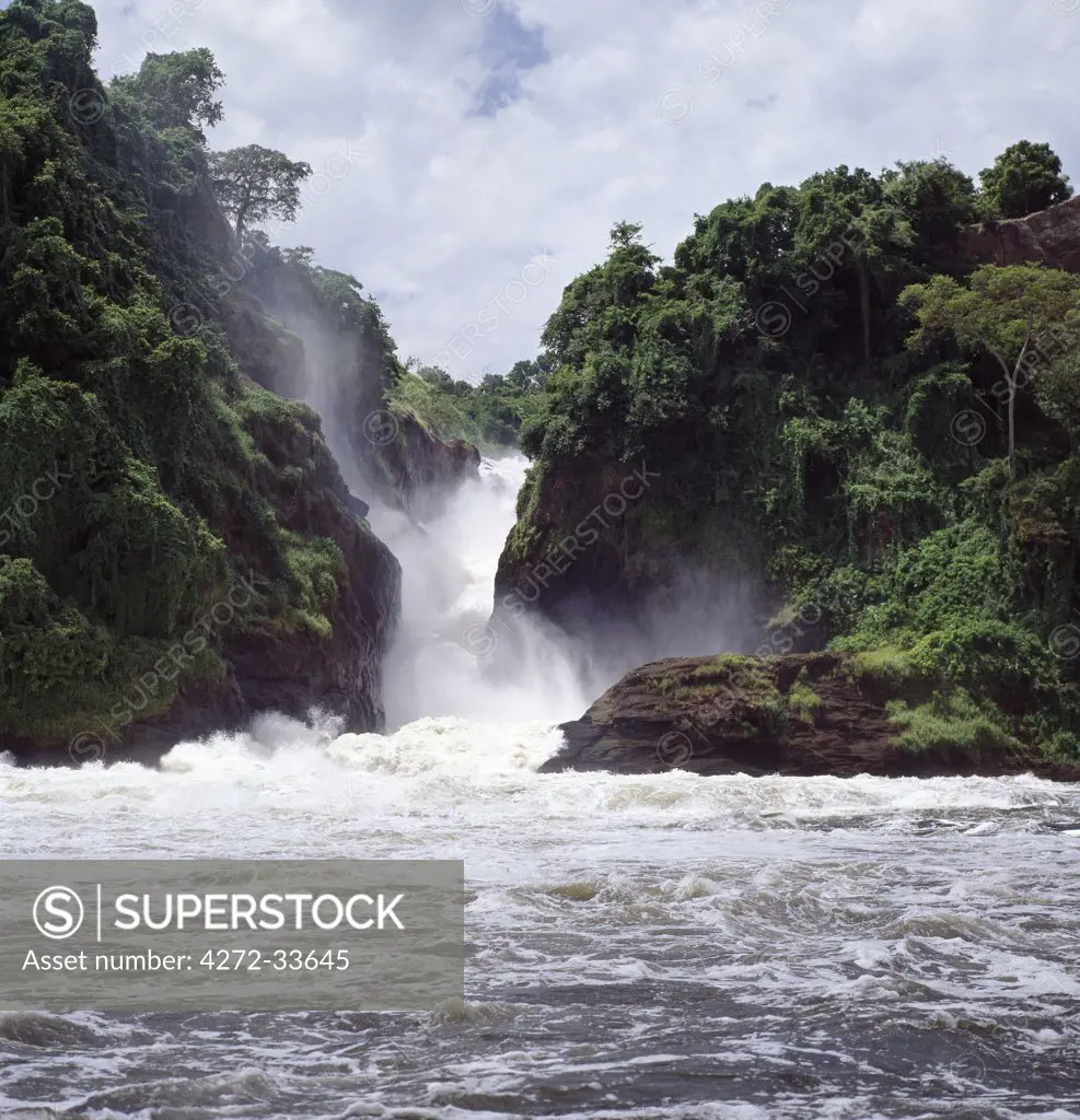 The Victoria Nile flows out of Lake Victoria into Lake Albert, and from there into the mighty White Nile.  After a series of rapids twenty miles east of Lake Albert, its colossal volume of water squeezes through a cleft in the rocks little more than twenty feet wide before dropping 400 feet in a series of three great cascades called the Murchison Falls.