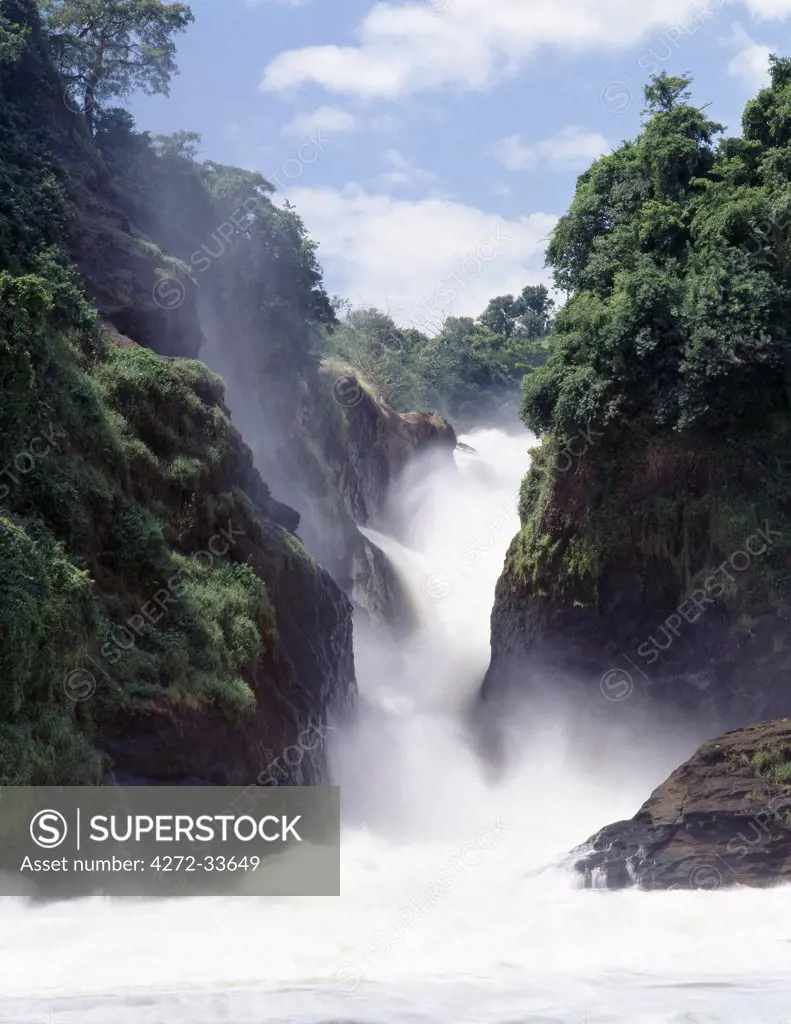 The Victoria Nile flows out of Lake Victoria into Lake Albert, and from there into the mighty White Nile.  After a series of rapids twenty miles east of Lake Albert, its colossal volume of water squeezes through a cleft in the rocks little more than twenty feet wide before dropping 400 feet in a series of three great cascades called the Murchison Falls.