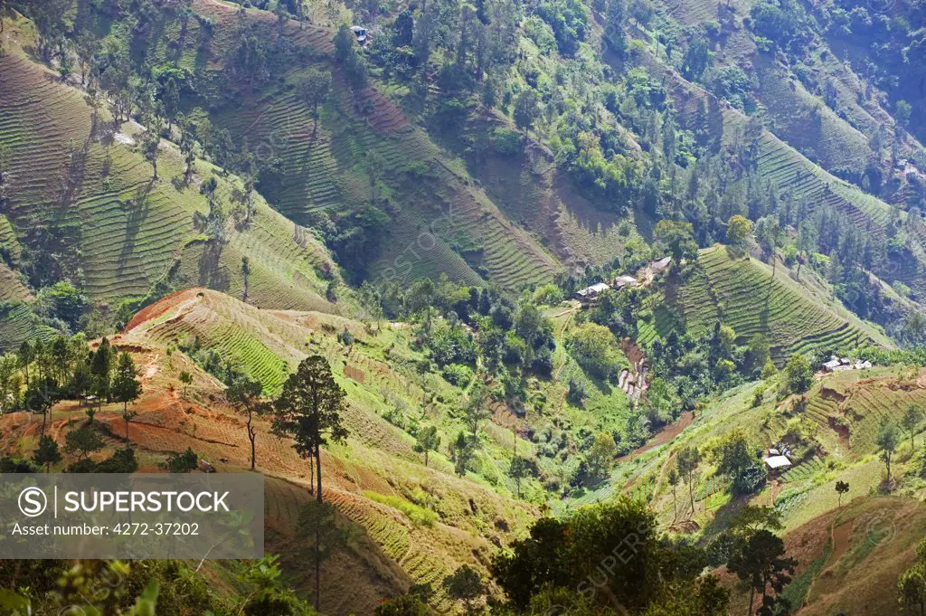 The Caribbean, Haiti, Port of Prince, Kenscoff mountains