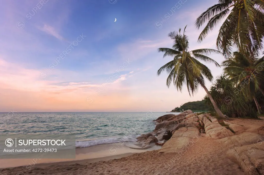 Thailand, Ko Samui, Chaweng beach, Palm tree overhanging sea