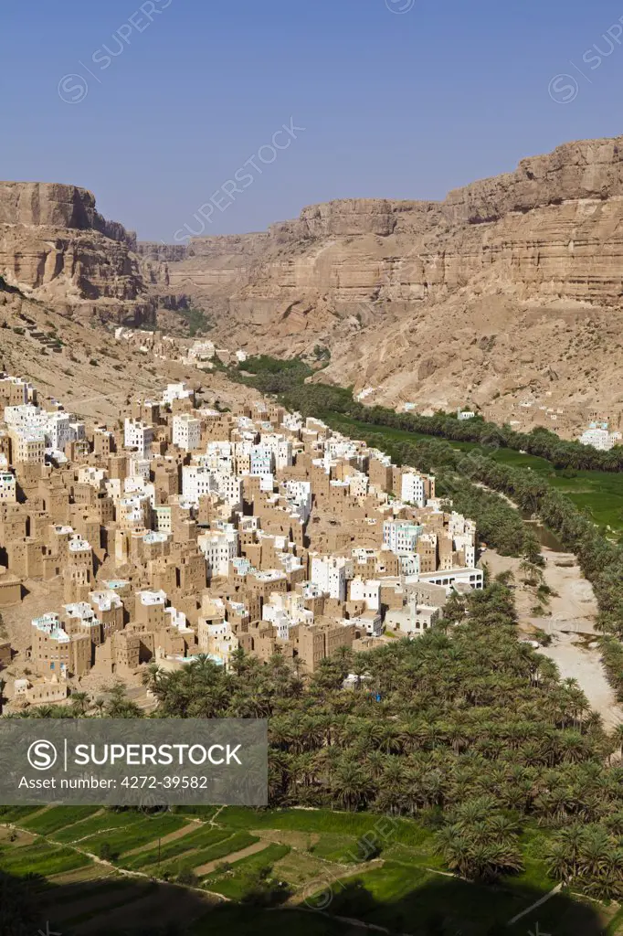 Yemen, Hadhramaut, Wadi Do'an, Ribat Ba-Ashan. An early morning view from the canyon wall.