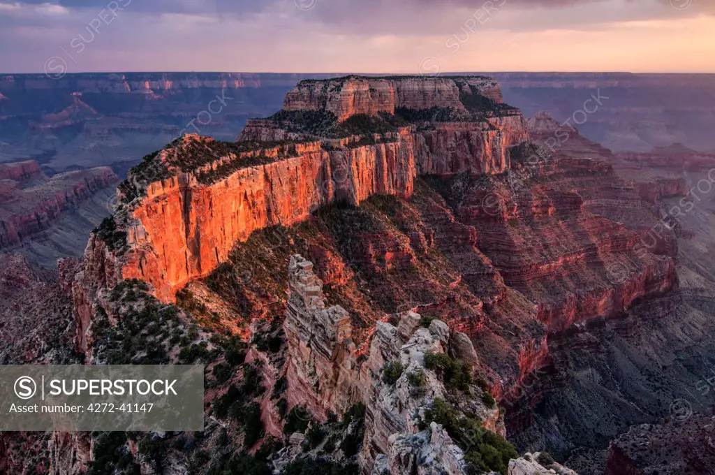 USA, Arizona, Grand Canyon, Cape Royal