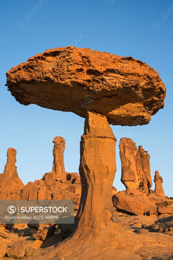 Chad, Chigeou, Ennedi, Sahara. A giant mushroom shaped rock feature of balancing sandstone.