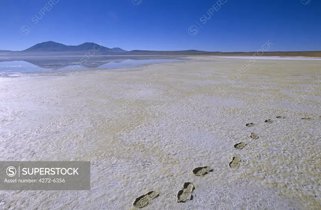 Chile, Region I, Pica. Salar de Huasco, a saltpan near the village of Pica, Northern Chile