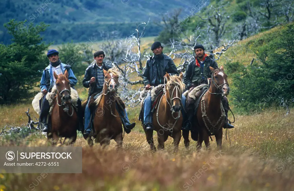 Baqeanos (Chilean Gaucho), Torres del Paine National Park, Chile