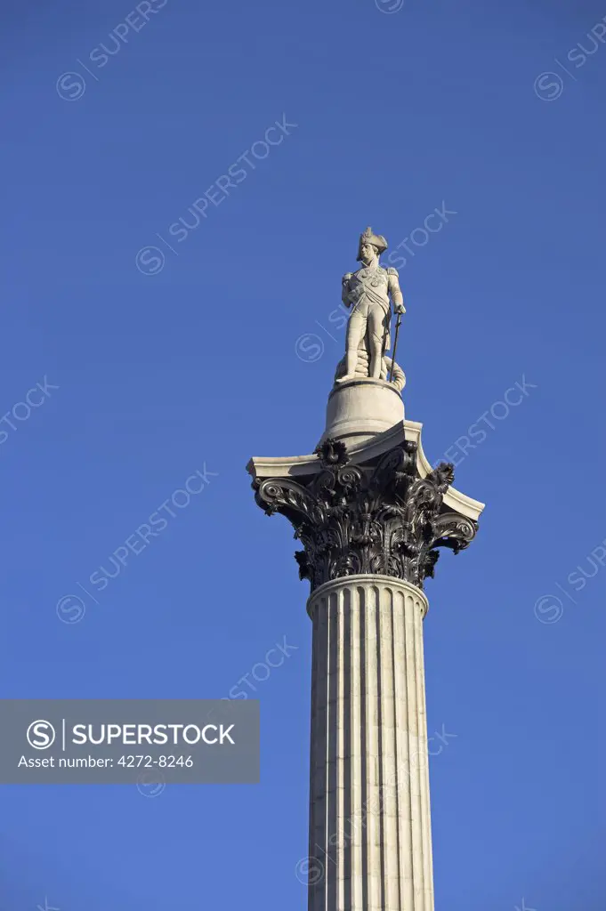 The statue of Lord Nelson stands atop Nelson's Column in Trafalgar Square. The statue was sculpted by EH Bailey. The column stands 145ft tall, the same hight as the masthead of HMS Victory, Nelson's flagship.