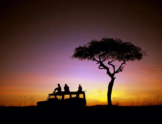 Dawn in the Mara, a time to stop and drink colour while on safari.