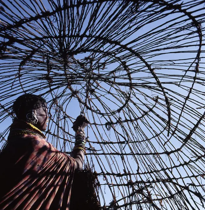 A Turkana woman makes the final ties to the dome-shaped framework of her home.  In wet weather, hides will be laid on top and secured with leather thongs.