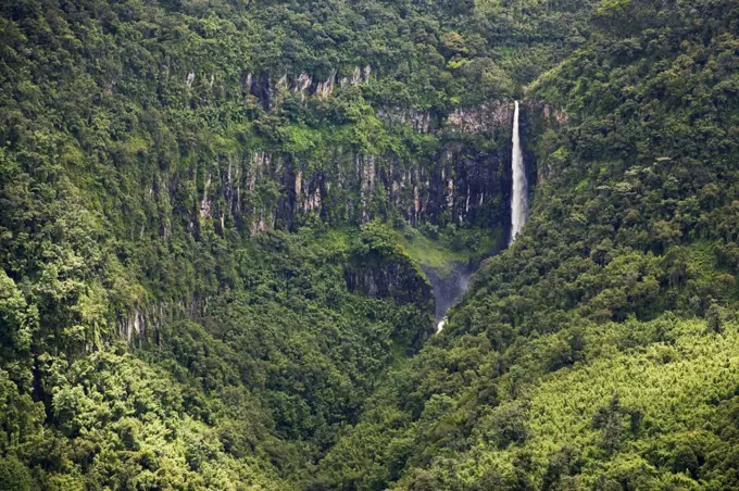 Kenya, Kenya Highlands. The Gura Falls on the moorlands of the Aberdare Mountains.