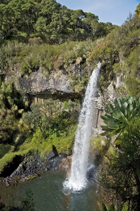 Kenya, Kenya Highlands. The Chania Falls on the moorlands of the Aberdare Mountains.