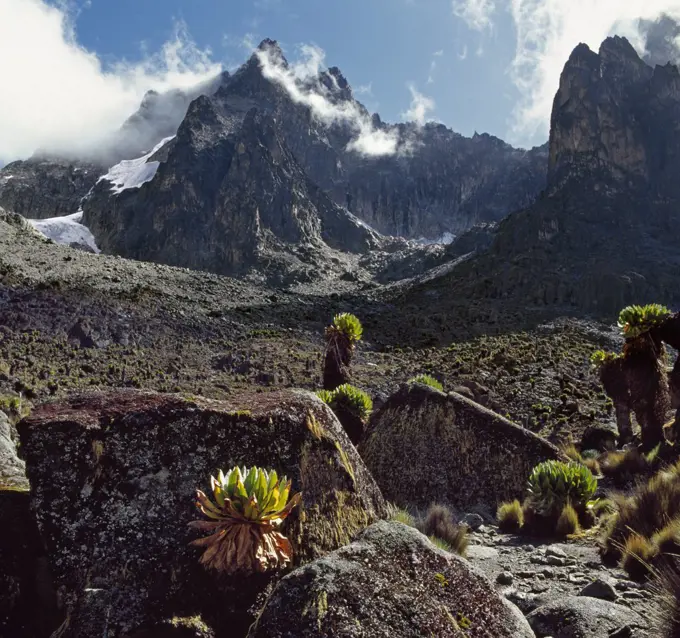 Kenya, Central Province, Mount Kenya. The peaks of Mount Kenya, Africa s second highest mountain.