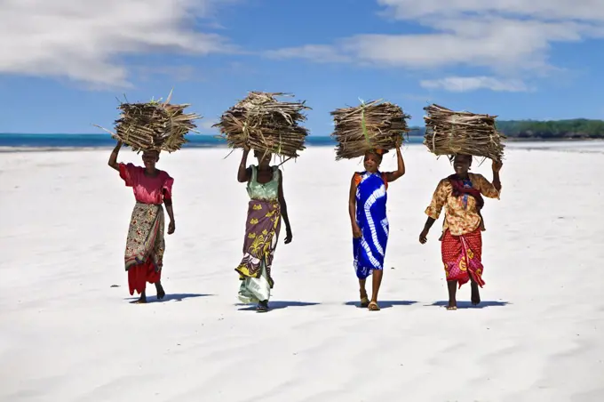 Kenya, Mombasa. Women carry on their heads makuti (dried coconut palm fronds used as roofing material) on a beach on Kenya south coast.